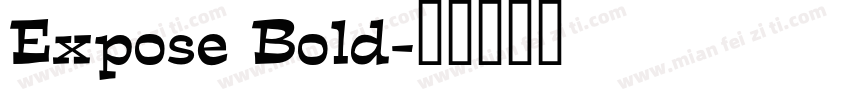 Expose Bold字体转换